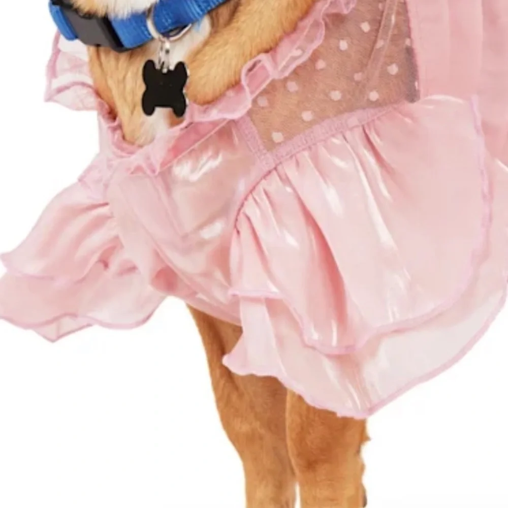 NWT Youly ruffle ‘the Charmer’ dog dress XS